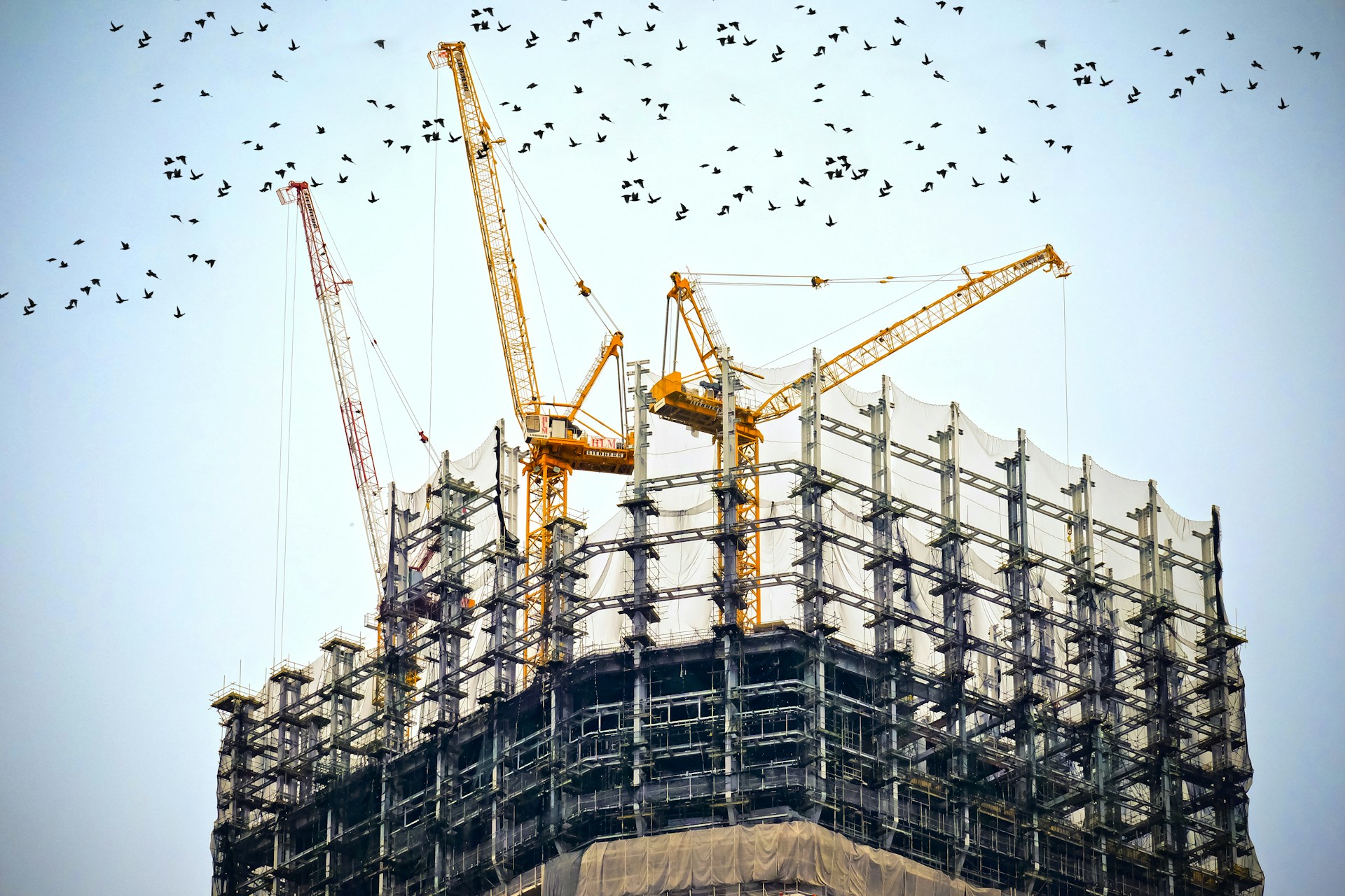 How We Optimize Commercial Projects Through General Contracting