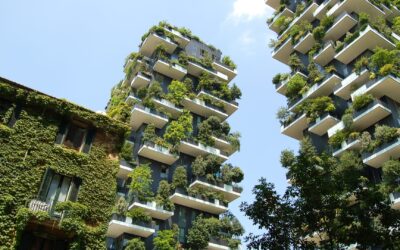 Sustainable Construction Practices for Modern Commercial Buildings