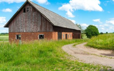 Types of Farm Buildings and Construction Services You May Need